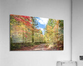 NORTHERN ONTARIO IN THE FALL Acrylic Print