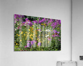 Garden Lost to a Monster Home Acrylic Print