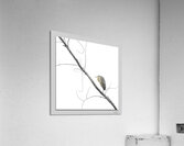 New Perspective Acrylic Print