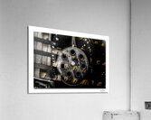 Wart Hog Business Meeting Acrylic Print