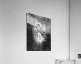 Scenes from the Trail- Forest Walk Through the Scottish Highlands Acrylic Print