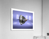 Taking a Deep Breath Acrylic Print