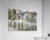 Little Italy Pride of Ownership Acrylic Print