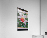 Spring floor Acrylic Print