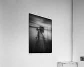 Middle of Nowhere Acrylic Print