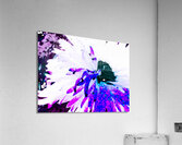 Abstract Daisy Blue Centre Acrylic Print