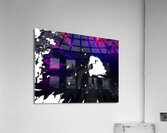 Abstract Purple and Red Daisy Acrylic Print