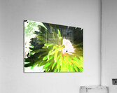 Abstract Vibrant Green Daisy Acrylic Print