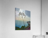 Afternoon Dream - Madeira__HOLT REZN888  Acrylic Print