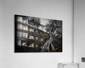 _JPT9103_01 Acrylic Print