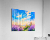 Fresh Air and Purple Heather Acrylic Print