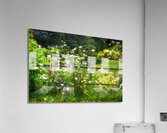 Vintage Iron Fencing Acrylic Print