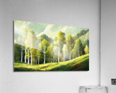 Grove of Aspen Trees Acrylic Print