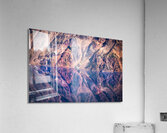 Crater Criter Acrylic Print