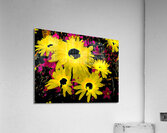 Abstract Contrasting Vibrant Daises  Acrylic Print