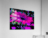 Abstract Neon Contrasting Daises Acrylic Print