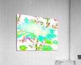 Abstract Colourful Psychedelic Daises Acrylic Print