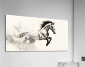 White horse stallion runs gallop over bright background	 Acrylic Print