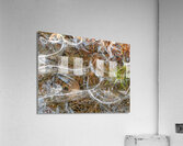 Abstract Ice Patterns Acrylic Print