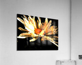 Abstract Daisy Darker Background Acrylic Print