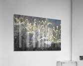 Rock Wall Acrylic Print