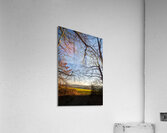 View from the forest onto serene meadow and dusk  Acrylic Print
