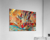 Colorful Callie  Acrylic Print