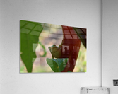 Peeping Frog  Acrylic Print