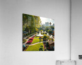 City Park Delight Acrylic Print