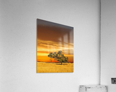 FireGold Acrylic Print