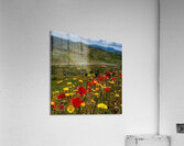 IMG 20241024 080850 738 Acrylic Print