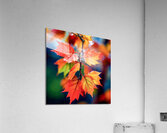 Wet Maple Leaves Acrylic Print