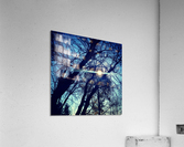 48682265032_ee32617aa9_o Acrylic Print