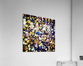 48789048473_b6f61ec829_o Acrylic Print