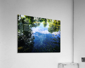 48681753948_12afc046a0_o Acrylic Print