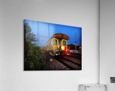 48789553897_2415747156_o Acrylic Print