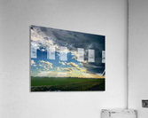 48681754453_73924de2e2_o Acrylic Print