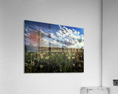 48682266352_1b4896edd5_o Acrylic Print