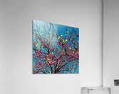 48682265332_b13d55b34c_o Acrylic Print