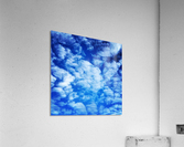 48789057208_143339dbb6_o Acrylic Print