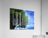 48681752873_fe8571dba2_o Acrylic Print