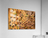 Spotted Autumn Leaf Acrylic Print
