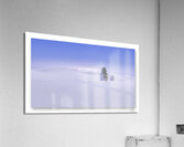 Winter Hues and Trees Acrylic Print