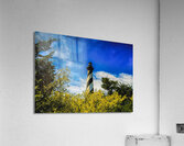 Cape Hatteras Lighthouse Acrylic Print