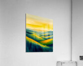 Golden Light Acrylic Print