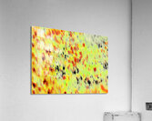 Abstract Colourful Hues Acrylic Print