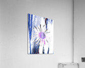 Abstract Daisy on a Bold Striped Background Acrylic Print