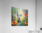Hummingbird  Acrylic Print