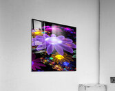 Fantasy Soul  Acrylic Print