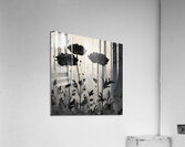 Deep beauty  Acrylic Print